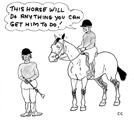 Eventing-SportHorse-BreedingCartoon-T.jpg